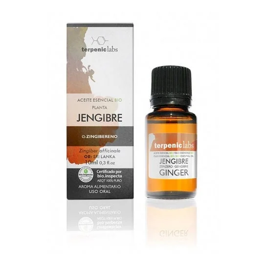 Terpenic Ginger Bio 30ml