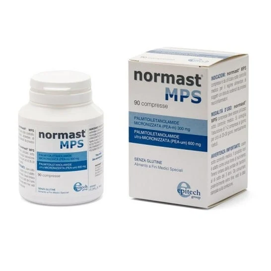 Epitech Normast 90caps