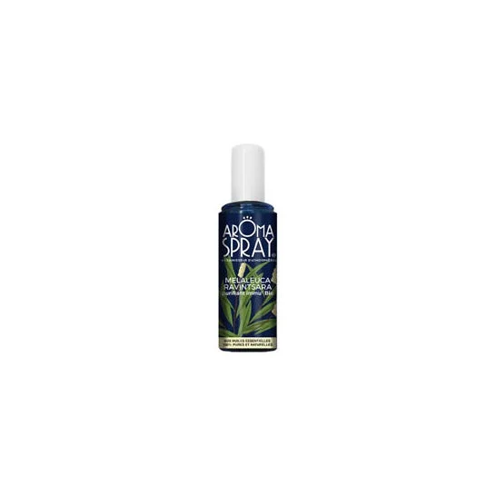 Aromaspray He Ravin/Melal Spr100ml