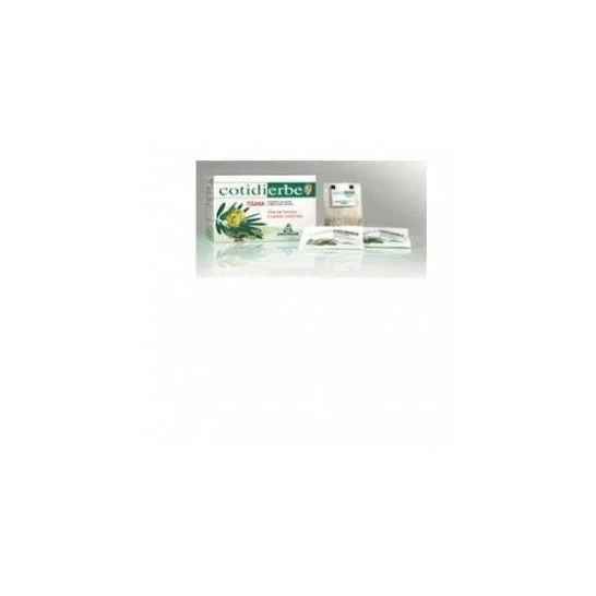 COTIDIERBE TISANA 15BUST 27G