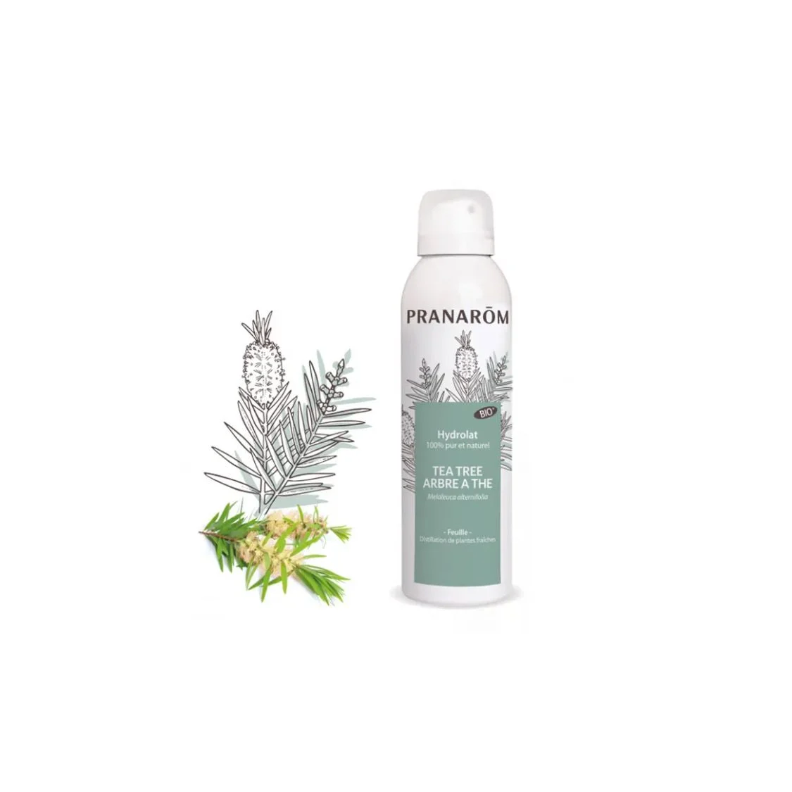 Pranarôm Gli Idrolati Tea Tree Albero del Tè Bio Pelli Danneggiate 150ml