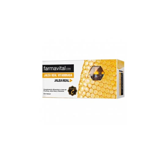 Farmavital Pappa Reale Vitaminizzato 20 fiale