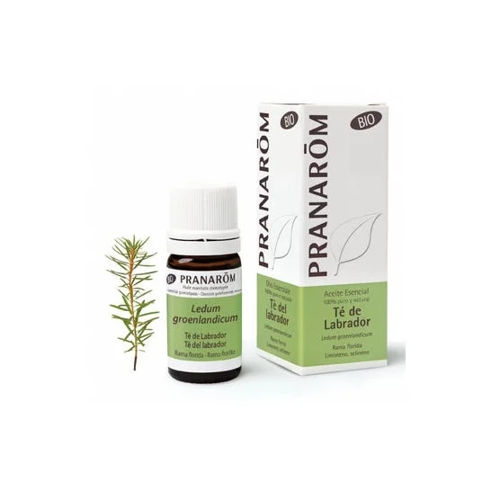 PranarÌm Tè biologico biologico Labrador ORGANICO Olio essenziale 5ml