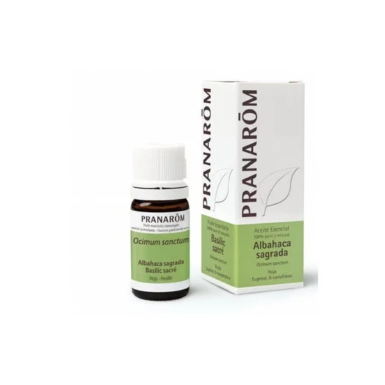 PranarÌm Olio essenziale Santo Basilico 5 Ml