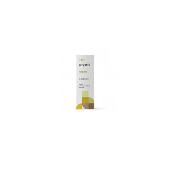 Terpenic Zenzero Bio 5ml