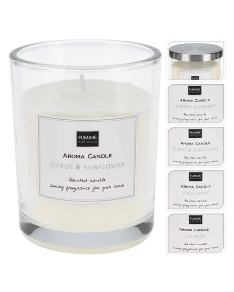 Excellent Houseware Scented Candle Ivy Moss