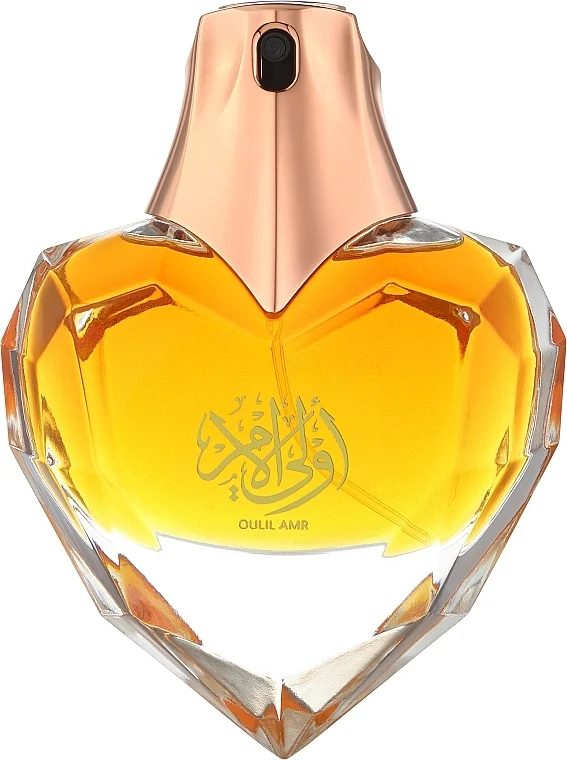 Ahmed Al Maghribi Oulil Amr