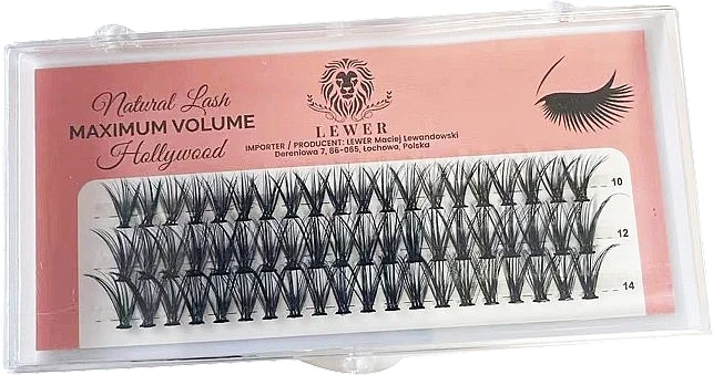 Lewer Natural Lash Maximum Volume Hollywood