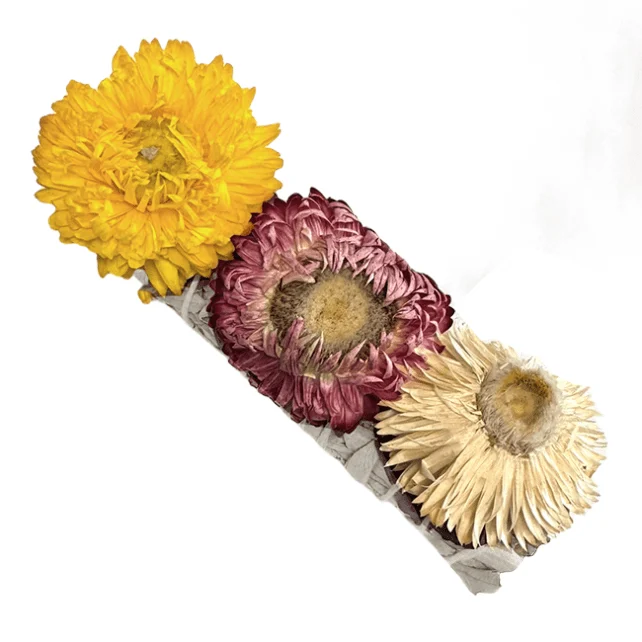 Smudge Salvia Bianca e Fiore di Paglia 10 cm – Purificazione e Armonia